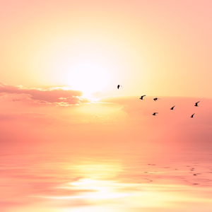 东北妇女裸体性生话视频
